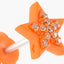 Monochrome Dreamer Studs in Tangerine